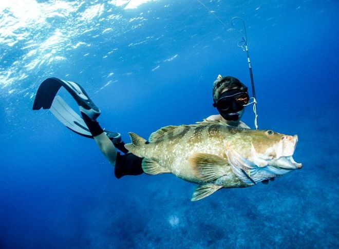 Pesca con arpón y tour de pesca