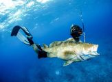 Spearfishing and fishing tour