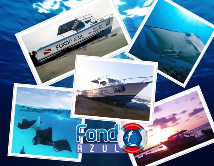 Welcome to the Fondo Azul !